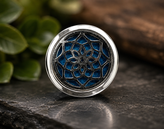 Car diffuser locket