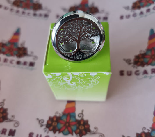 Car diffuser locket